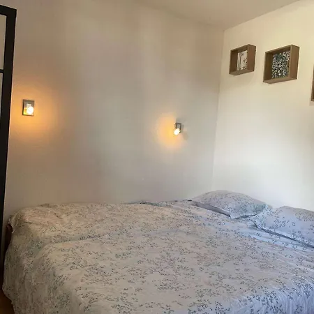 Appartement App. Skis Aux Pieds Avec Piscine, Balcon Et Wifi - Fr-1-322-646
